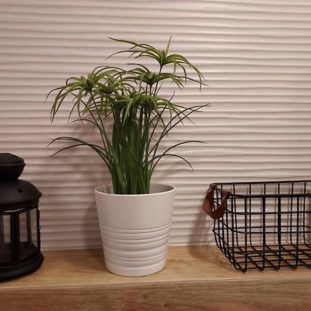 Apartament Sun&Fun - Rowy Rowy  Dış mekan fotoğraf