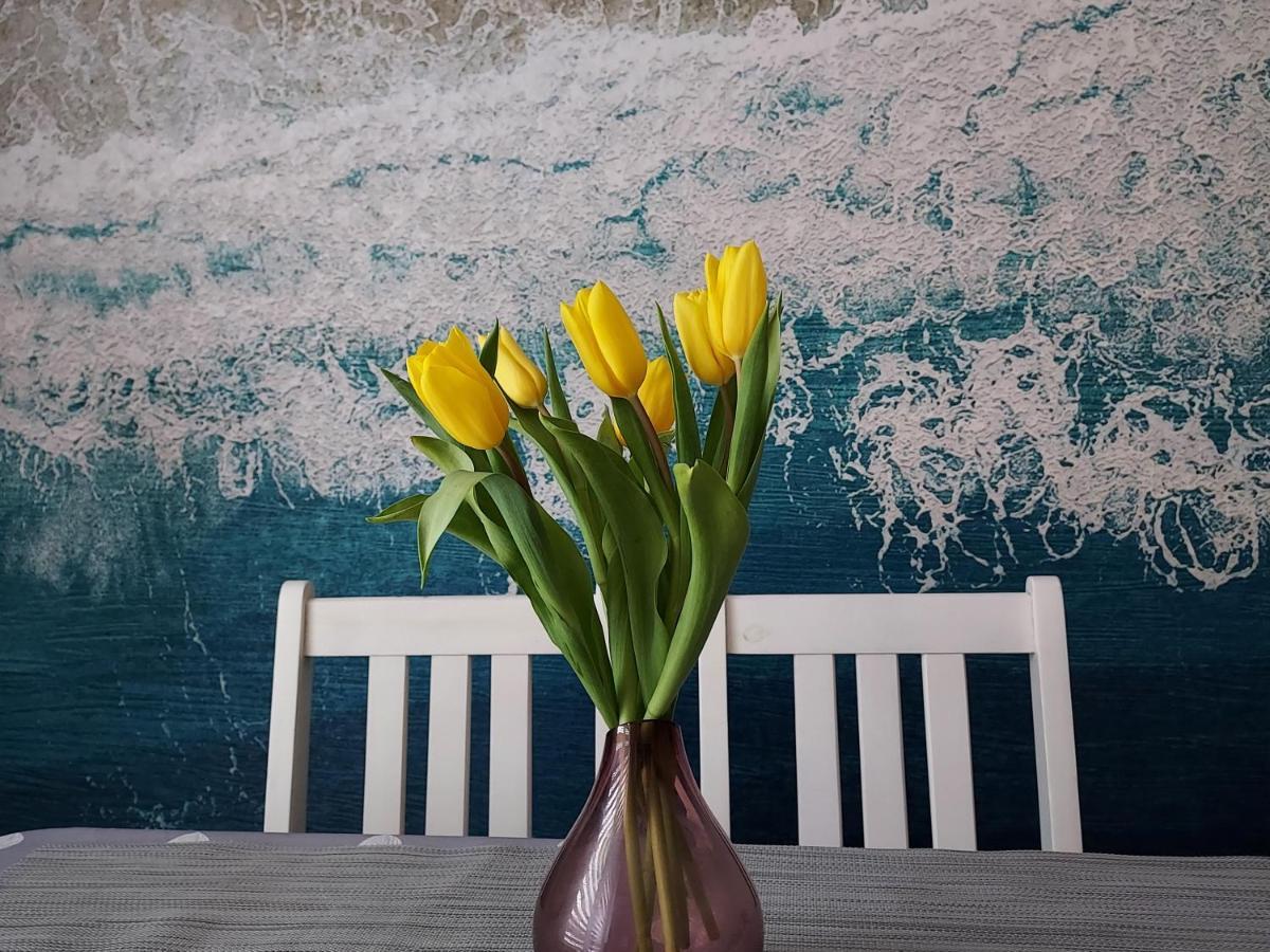 Apartament Sun&Fun - Rowy Rowy  Dış mekan fotoğraf